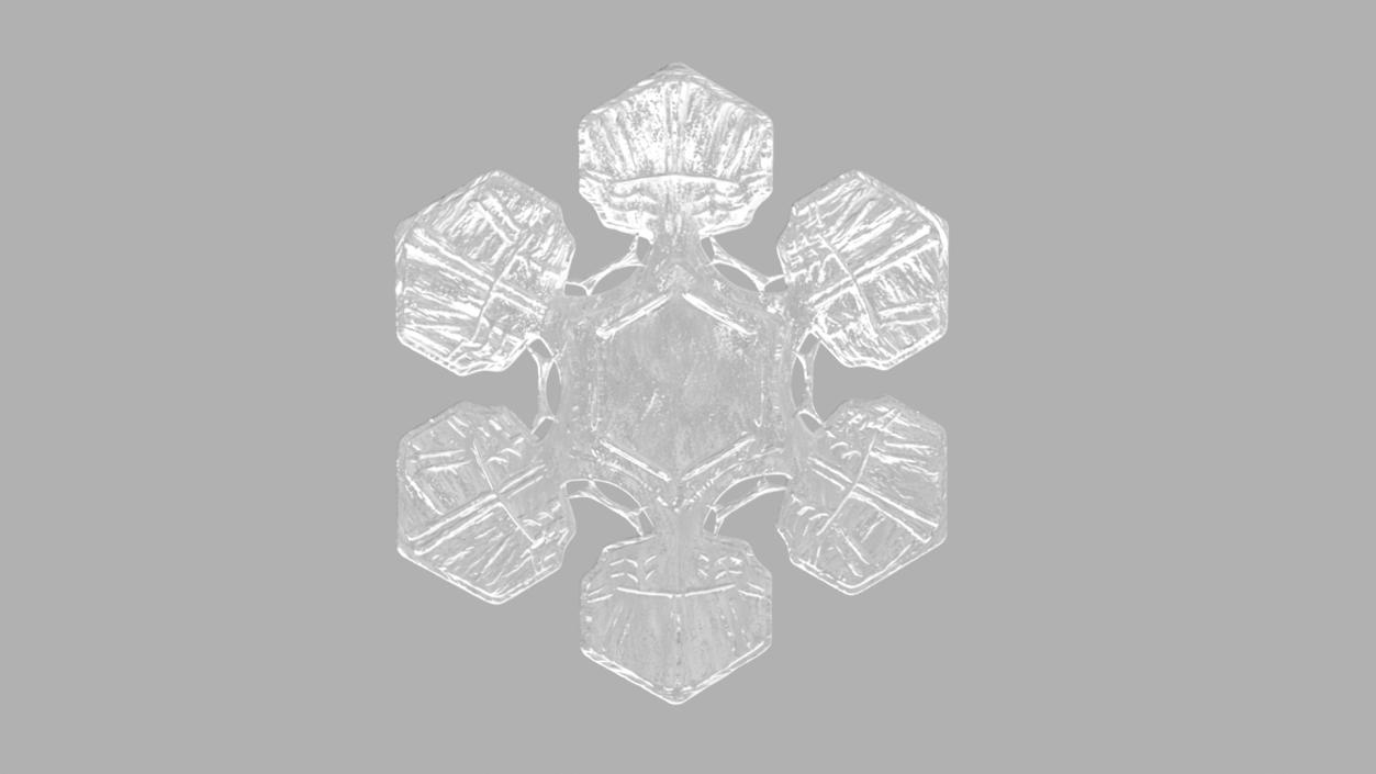 Realistic Snowflake 3D model