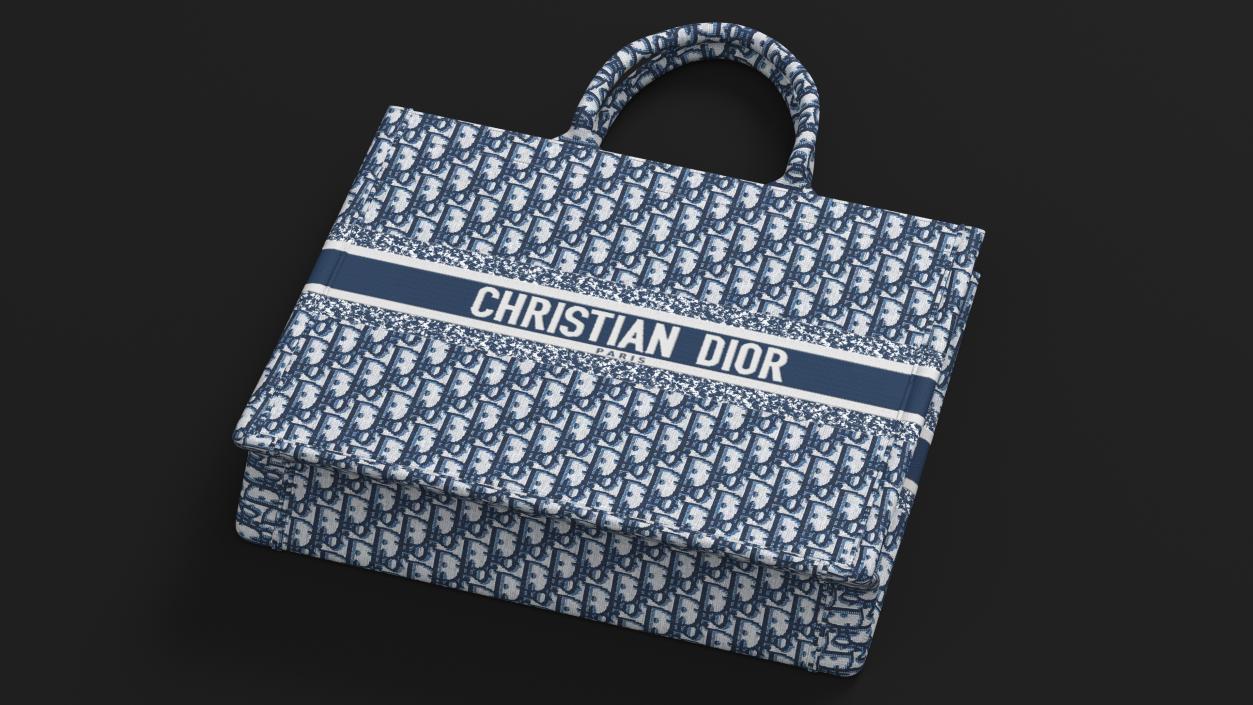 Book Tote Bag Cristian Dior Navy Blue 3D