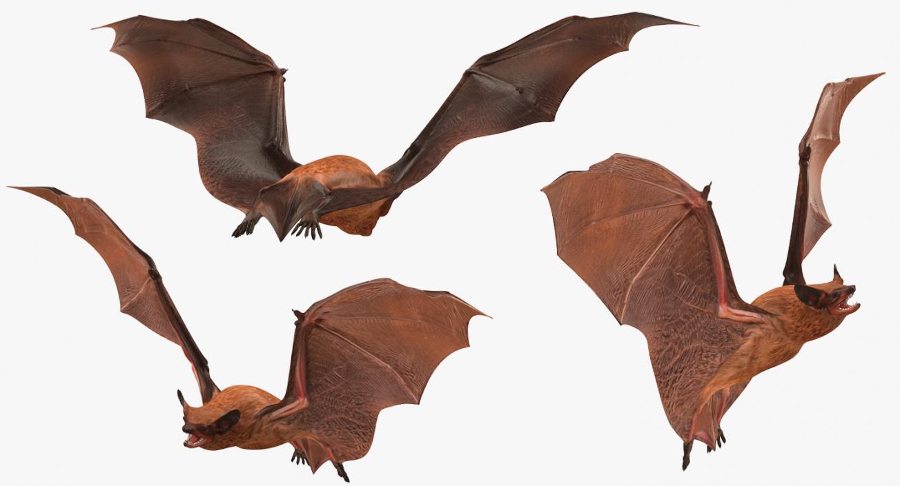 3D model Flying Bat