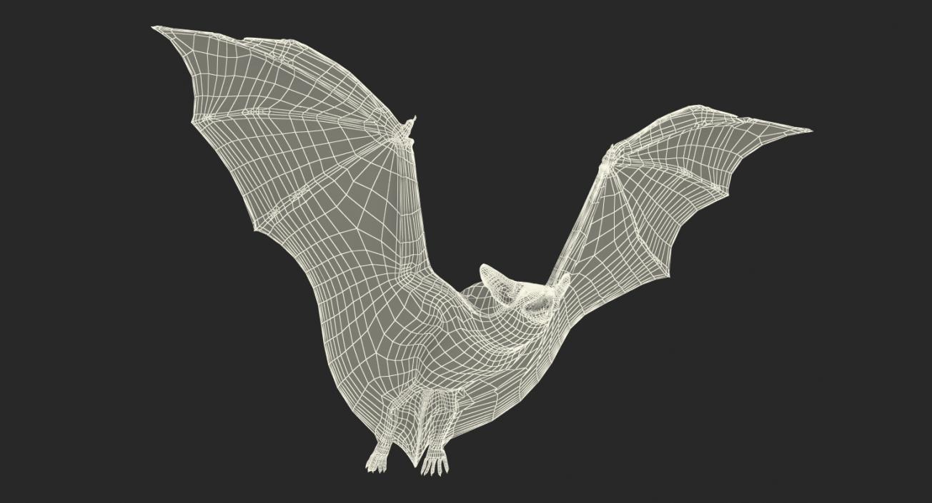 3D model Flying Bat