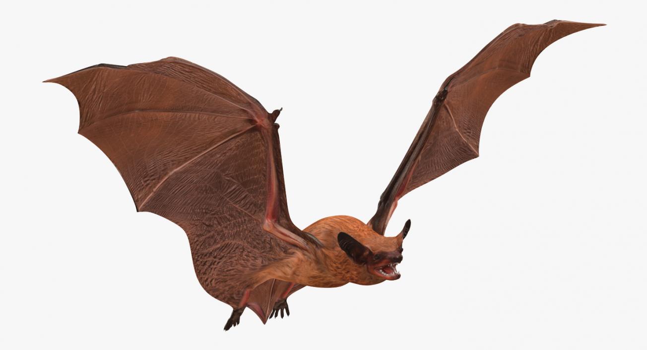 3D model Flying Bat