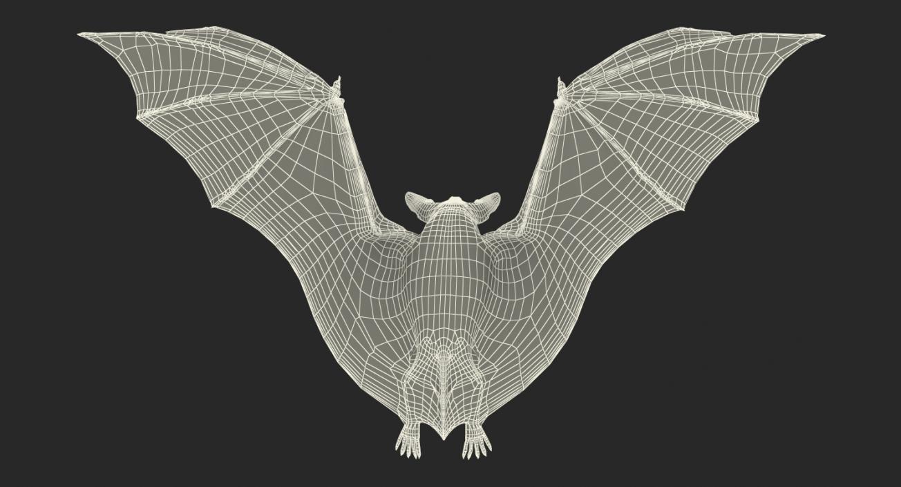 3D model Flying Bat