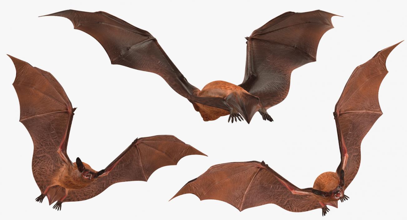 3D model Flying Bat