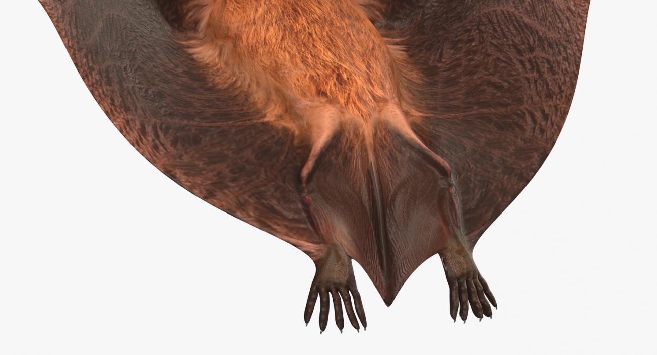 3D model Flying Bat