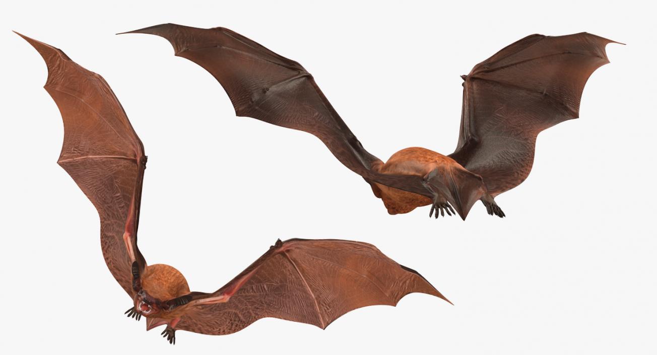 3D model Flying Bat