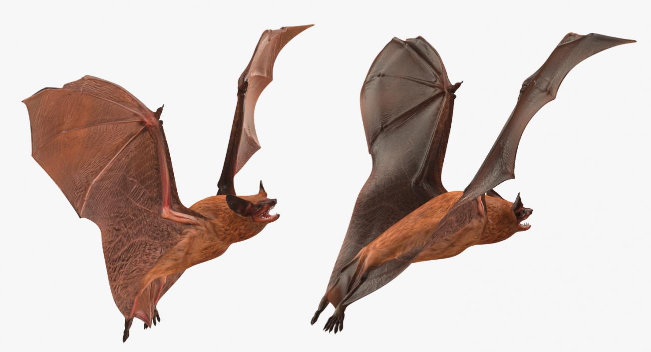 3D model Flying Bat