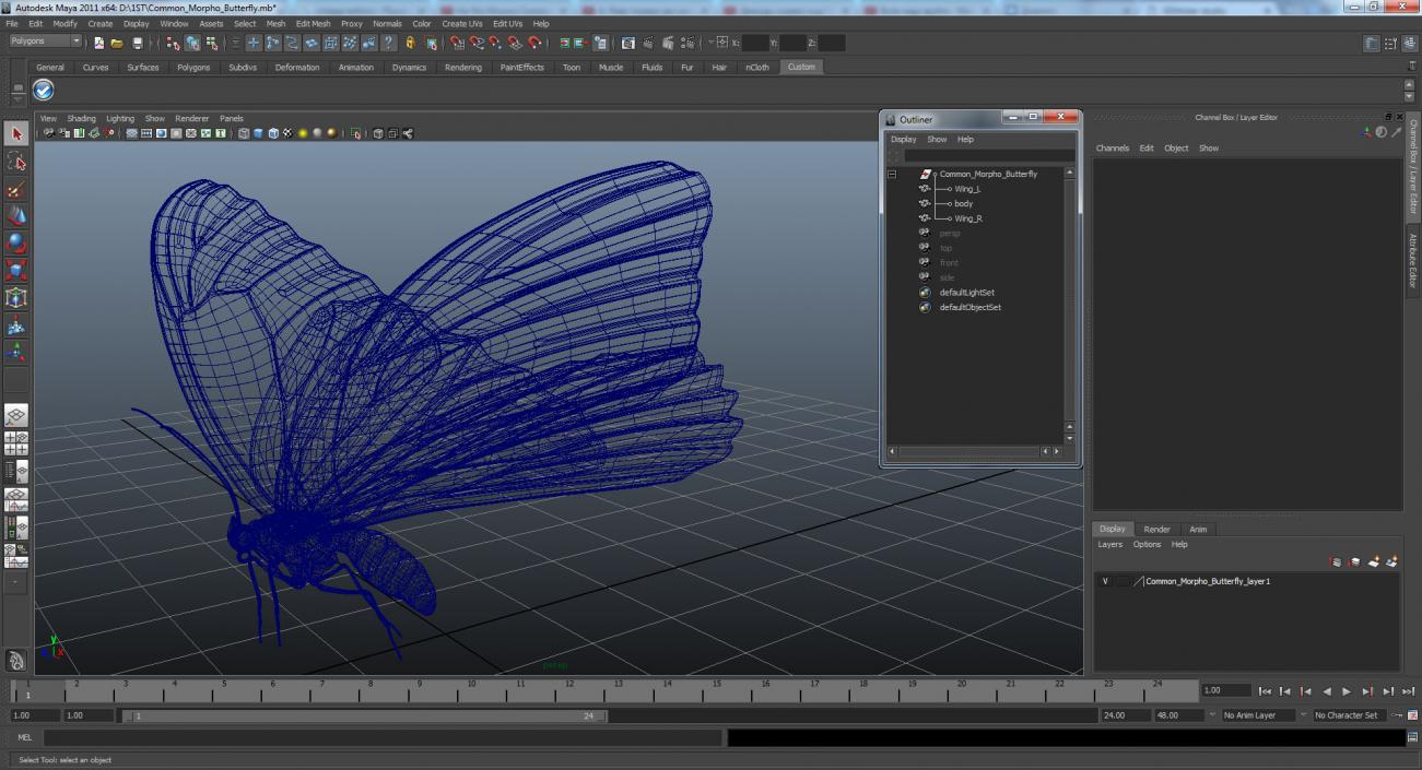 3D Common Morpho Butterfly model