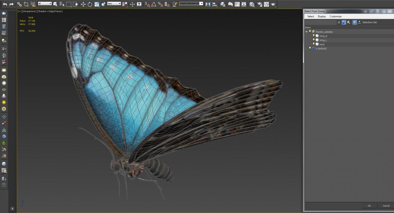 3D Common Morpho Butterfly model