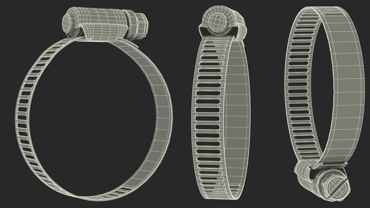 Hose Clamp Stainless Steel 30 44mm 3D model