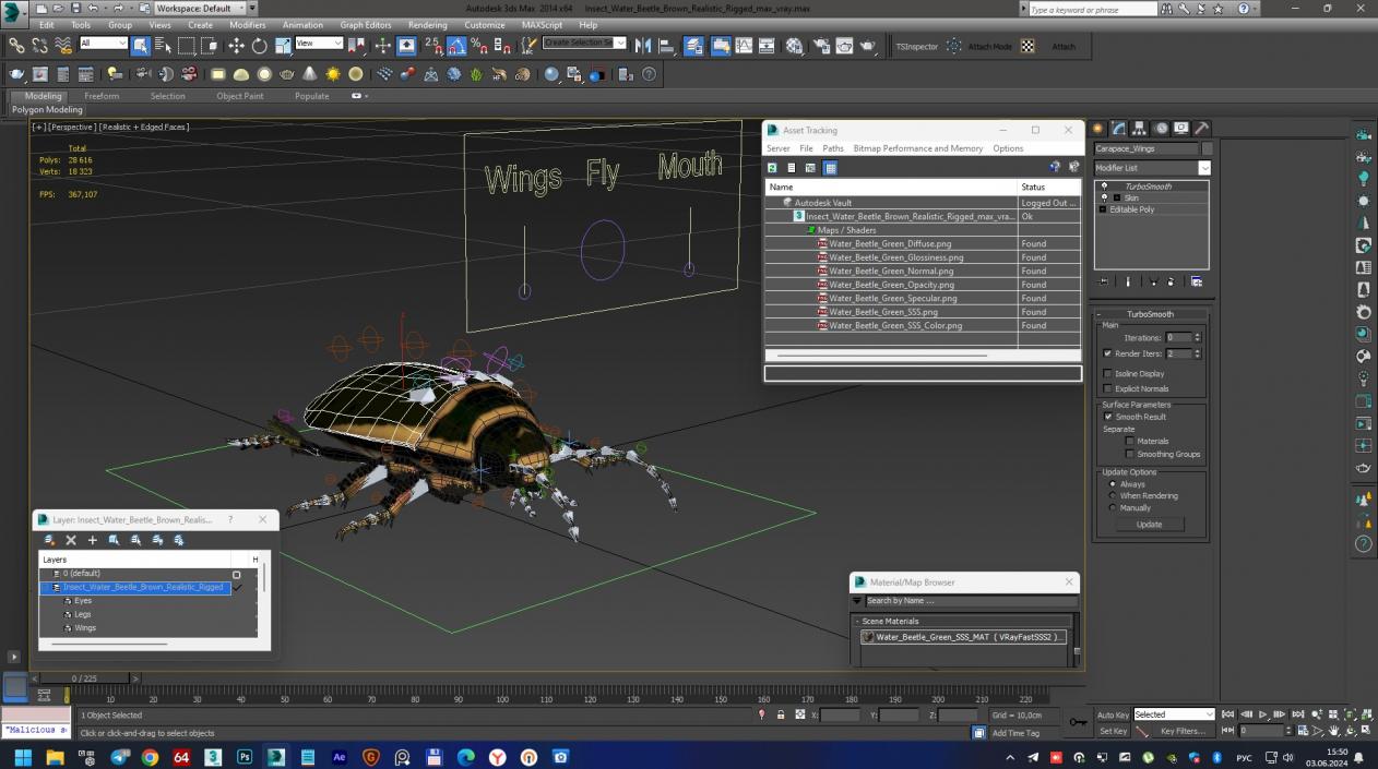 3D Insect Water Beetle Brown Realistic Rigged for Maya