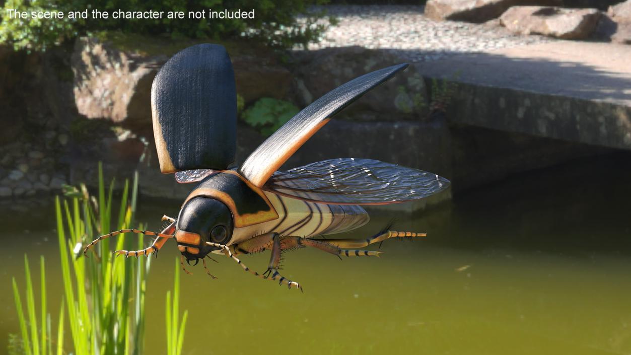 3D Insect Water Beetle Brown Realistic Rigged for Maya