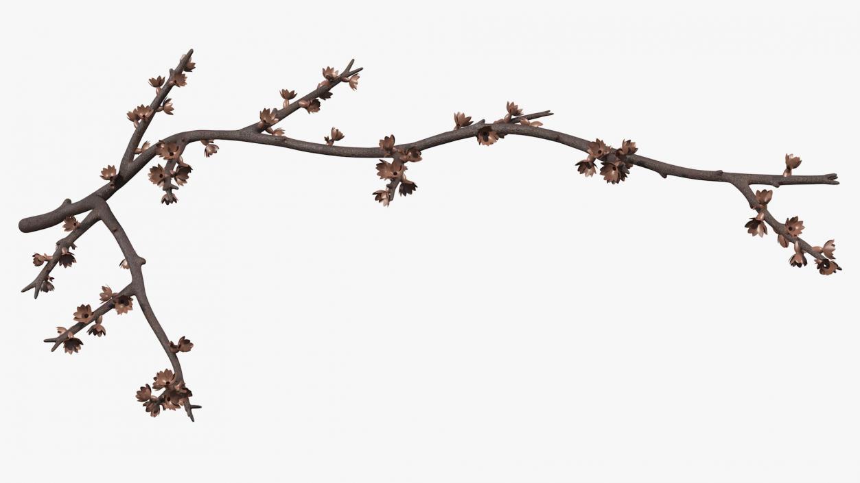 Bare Tree Naked Branch 3D