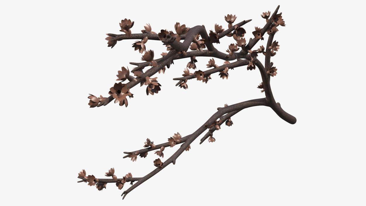 Bare Tree Naked Branch 3D