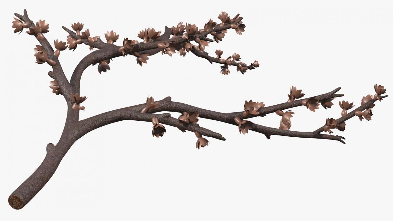 Bare Tree Naked Branch 3D