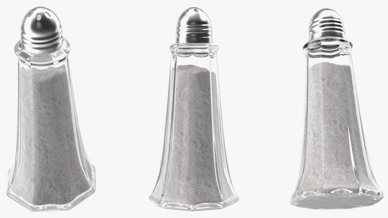 Tall Glass Body Salt Shaker 3D