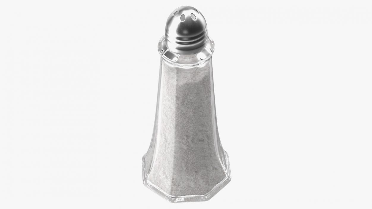 Tall Glass Body Salt Shaker 3D