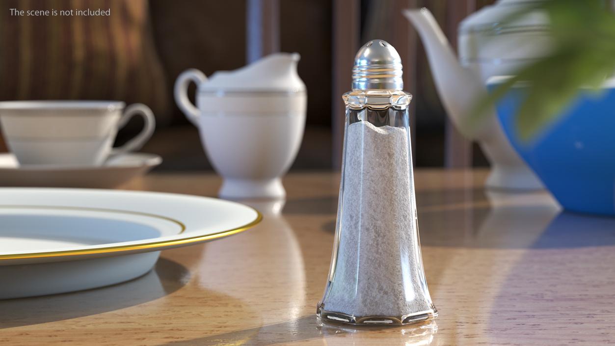 Tall Glass Body Salt Shaker 3D