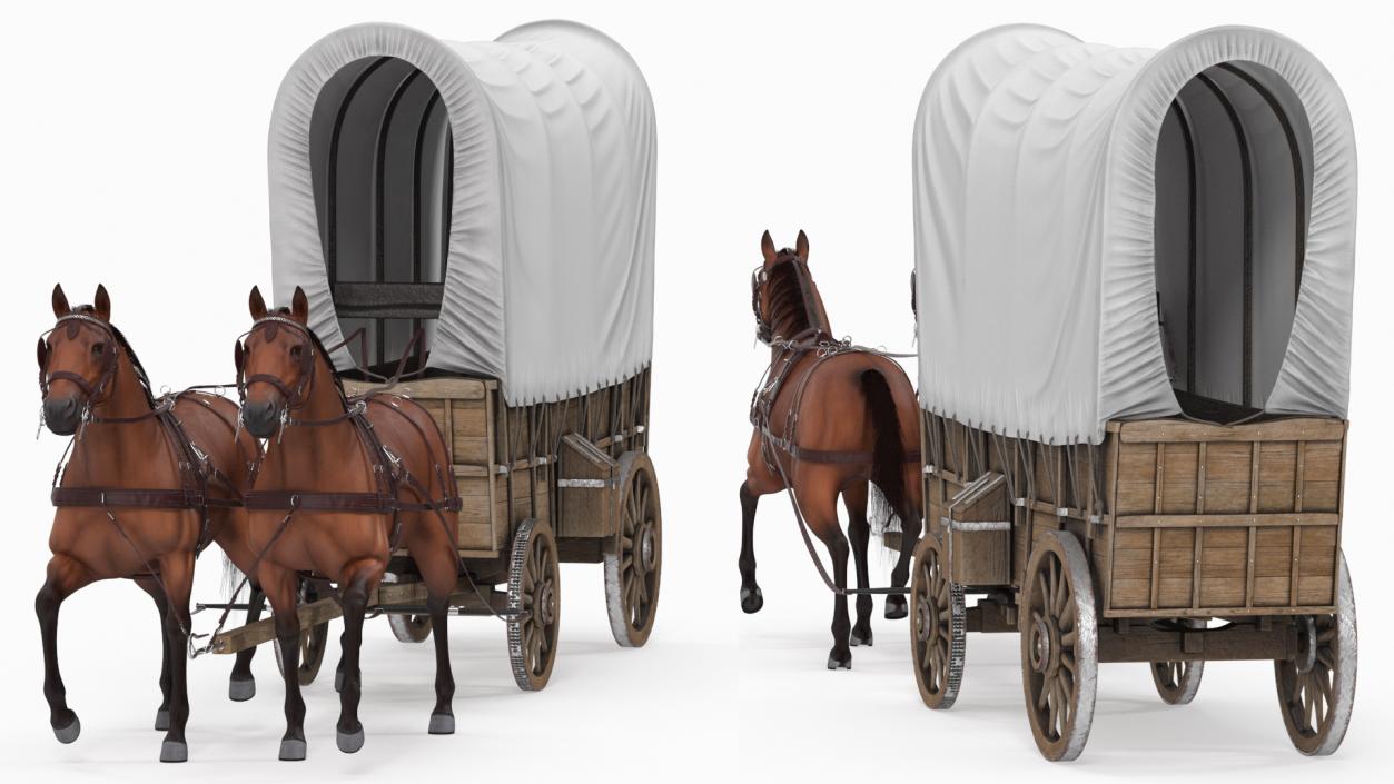 3D model Covered Wagon with Horses