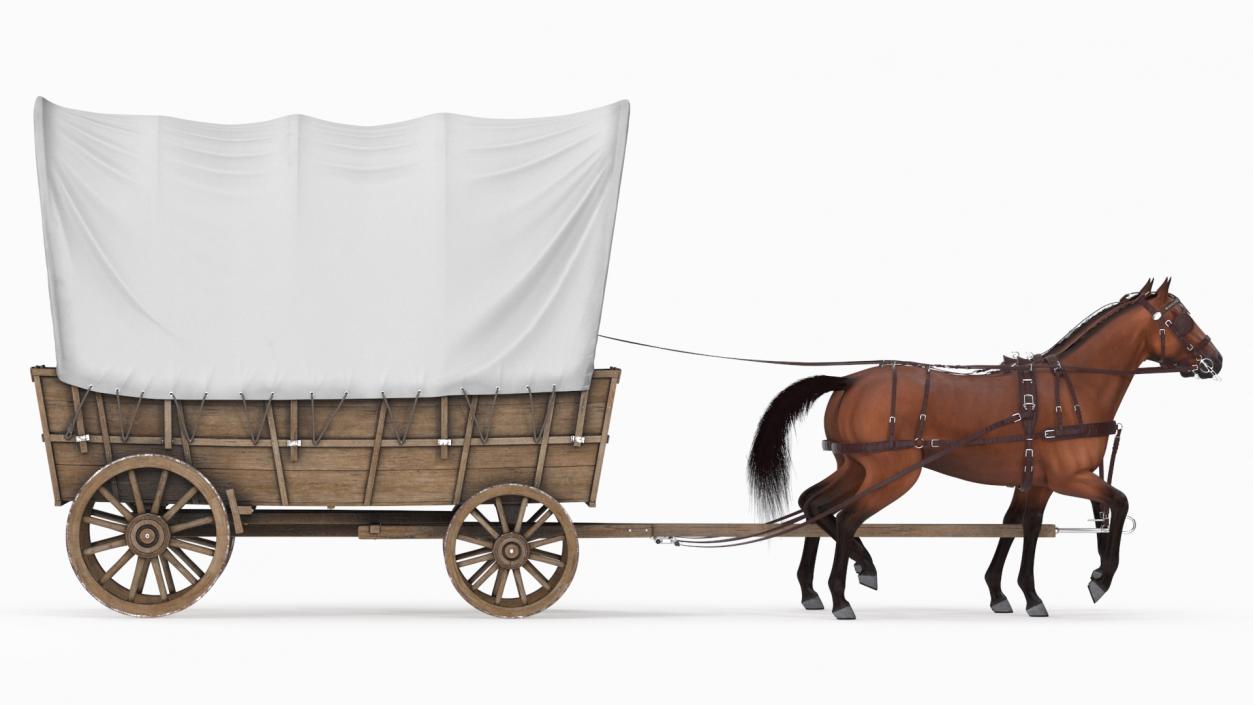 3D model Covered Wagon with Horses