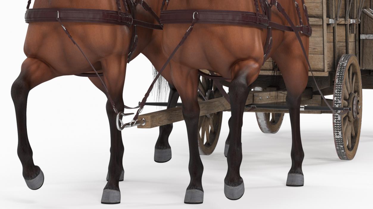 3D model Covered Wagon with Horses