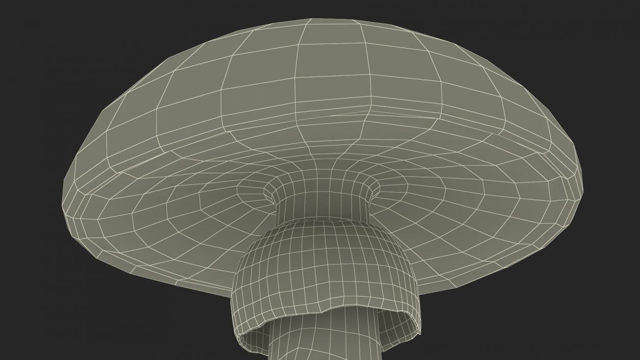 3D Toadstool 2