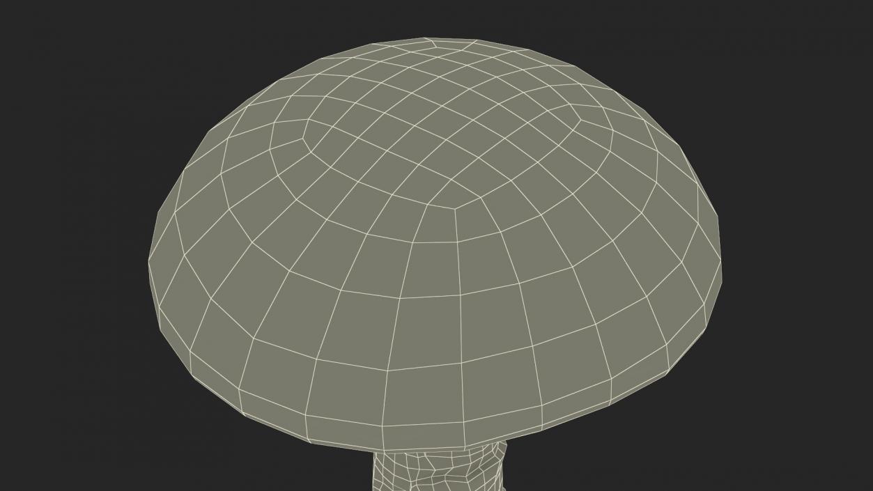 3D Toadstool 2