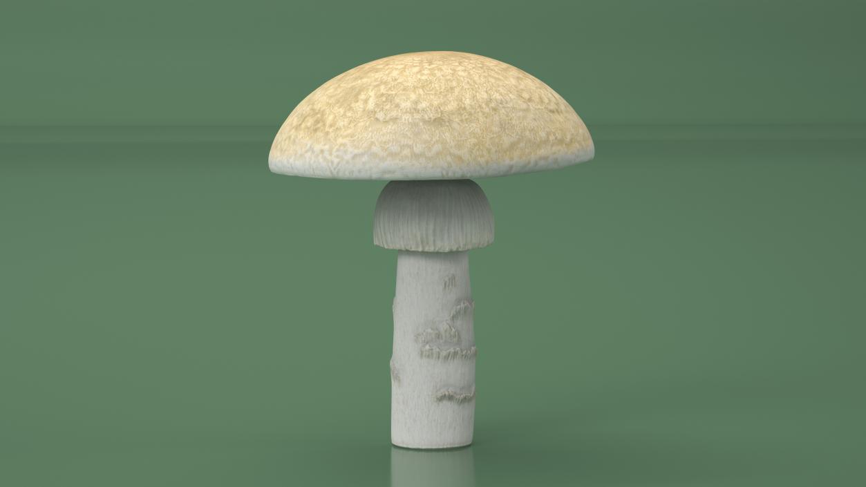 3D Toadstool 2