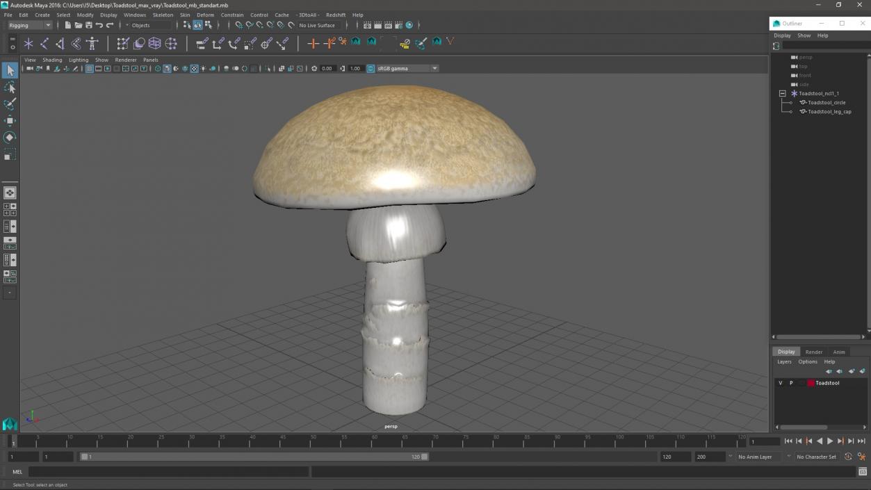 3D Toadstool 2