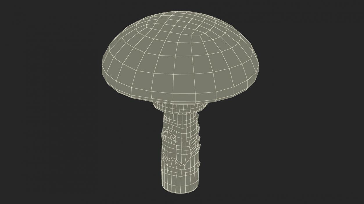 3D Toadstool 2