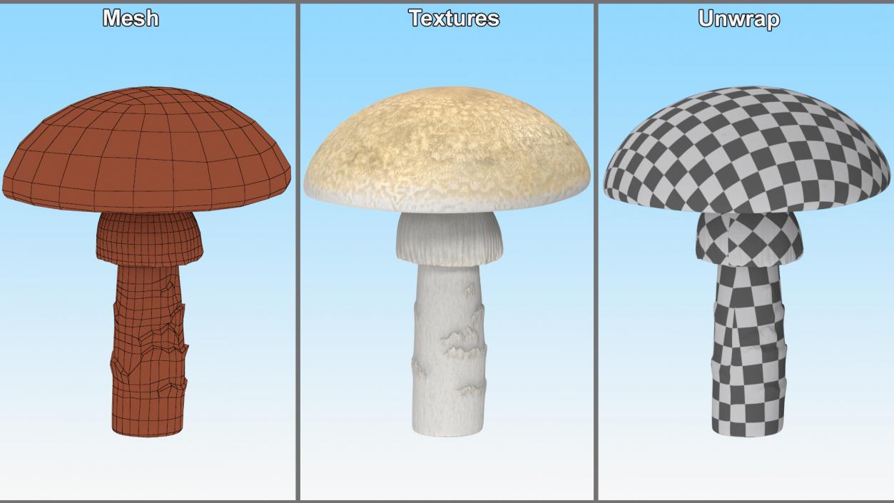 3D Toadstool 2