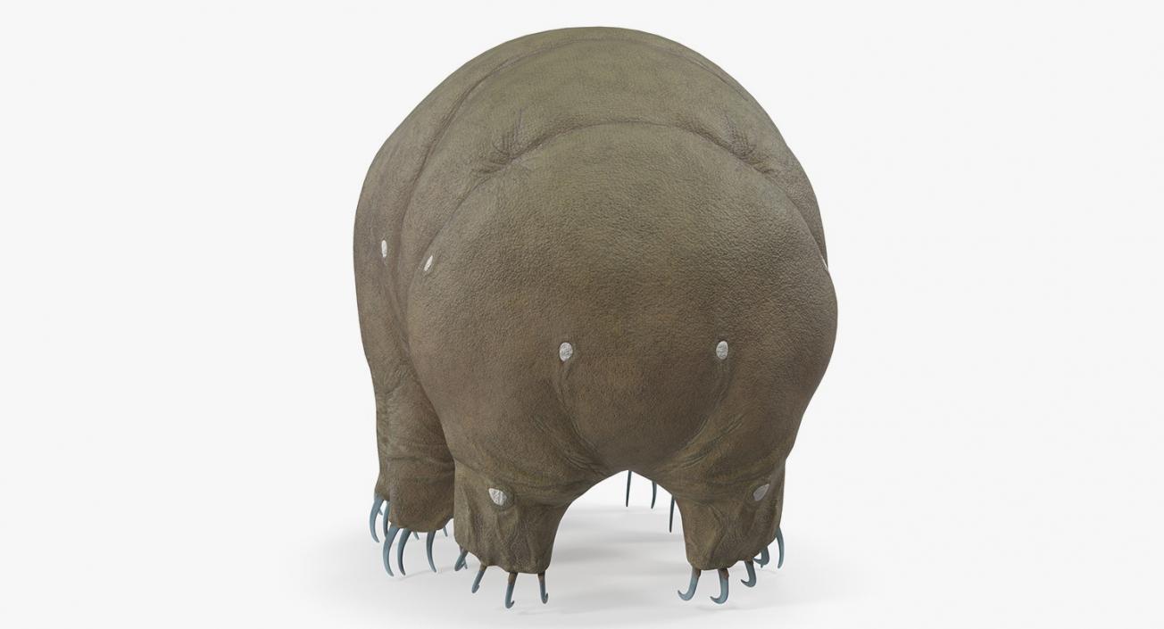 Tardigrade Rigged 3D