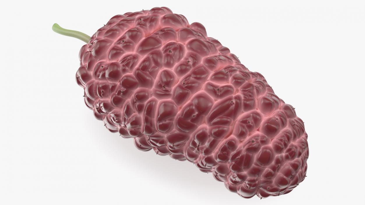 Mulberry Fruit Pink 3D model