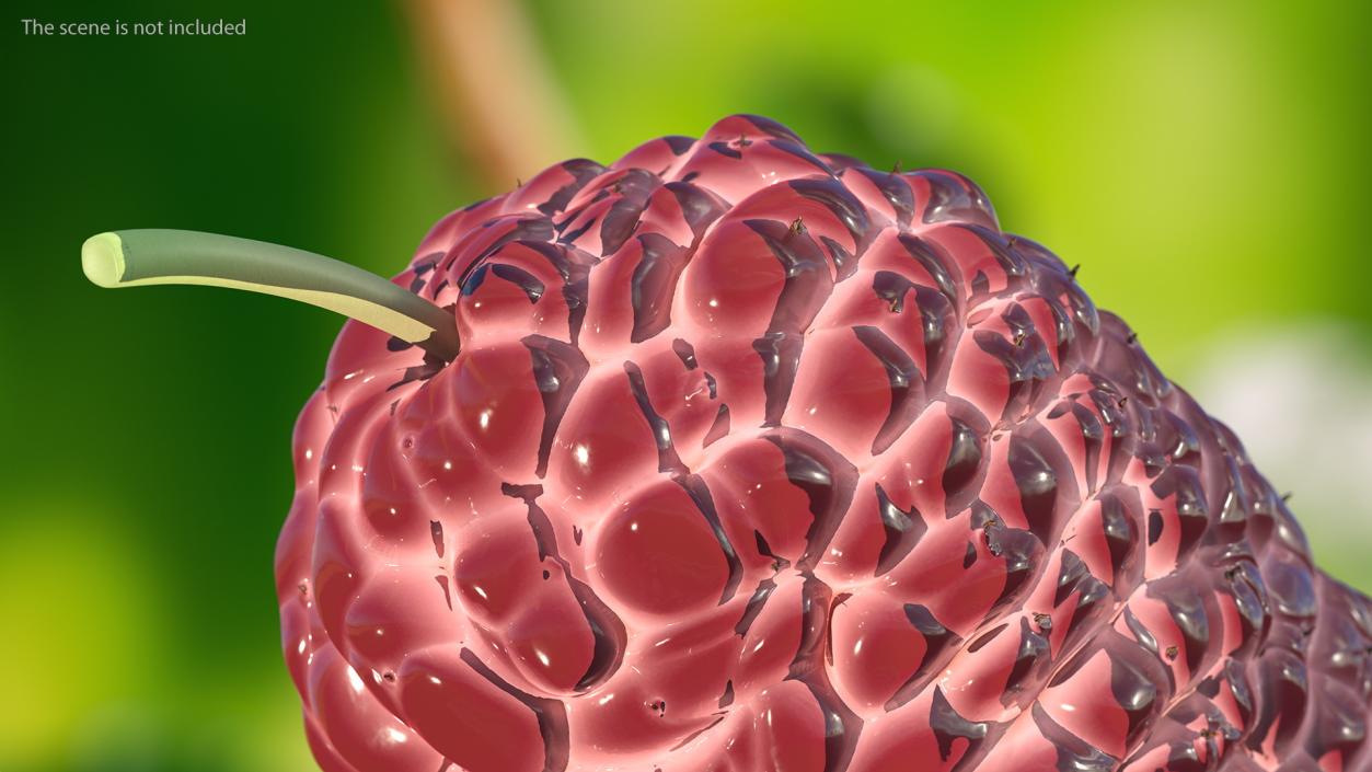 Mulberry Fruit Pink 3D model