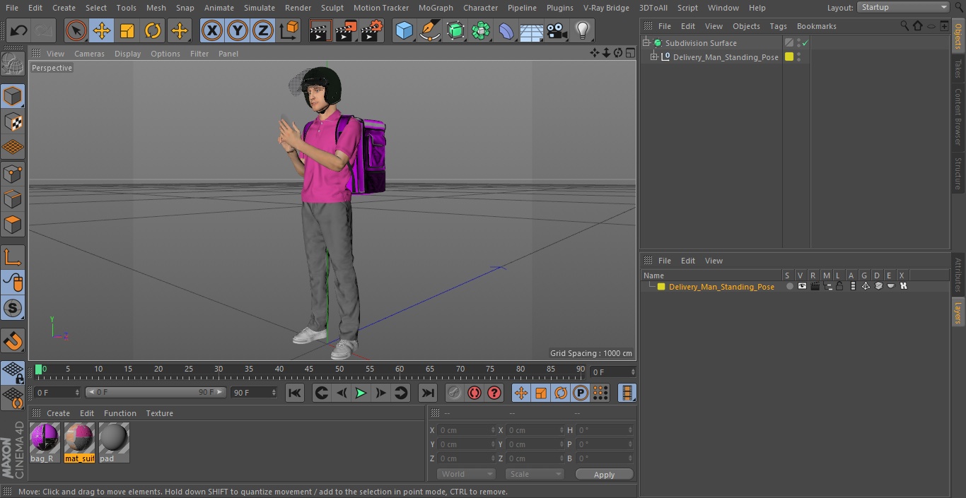 3D Delivery Man Standing Pose