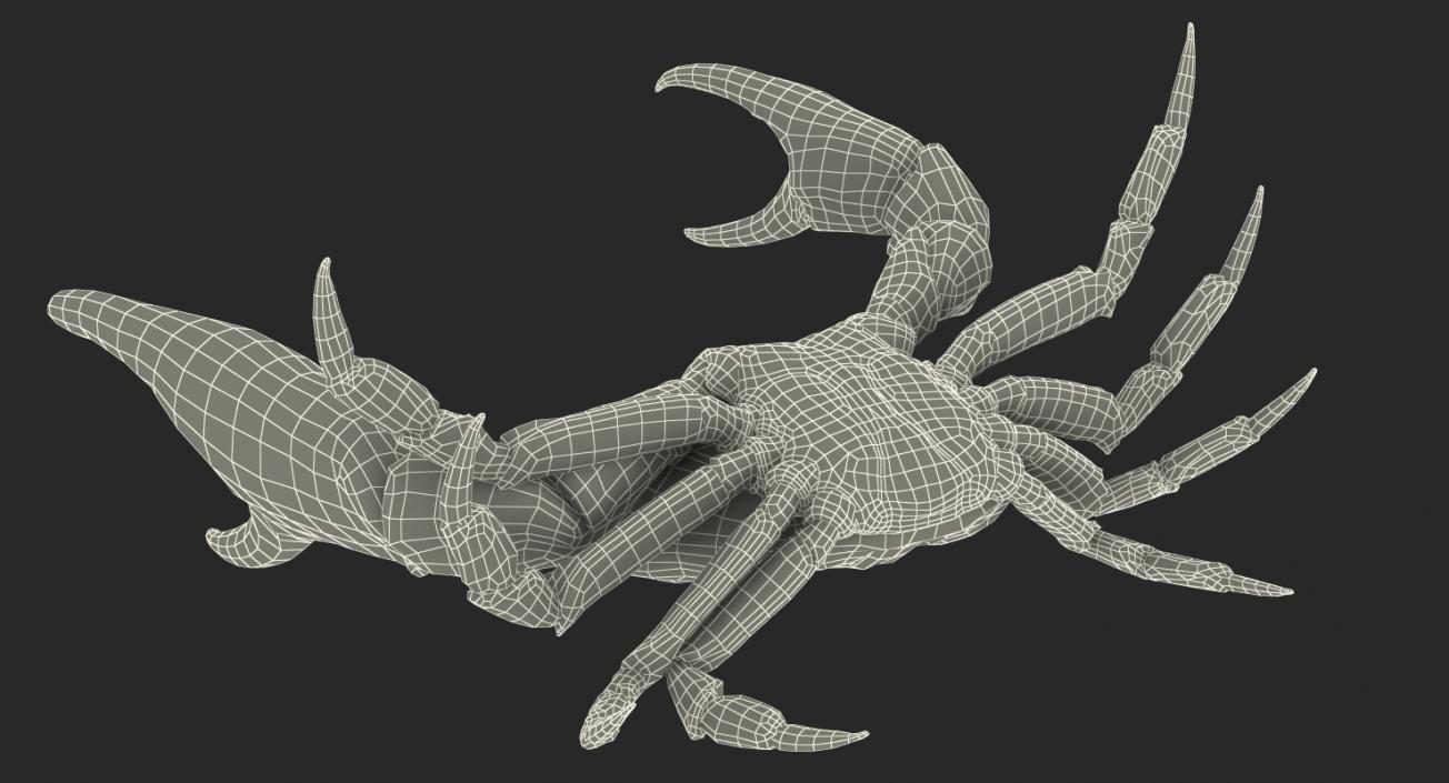 Tasmanian Giant Crab Fighting Pose 3D model