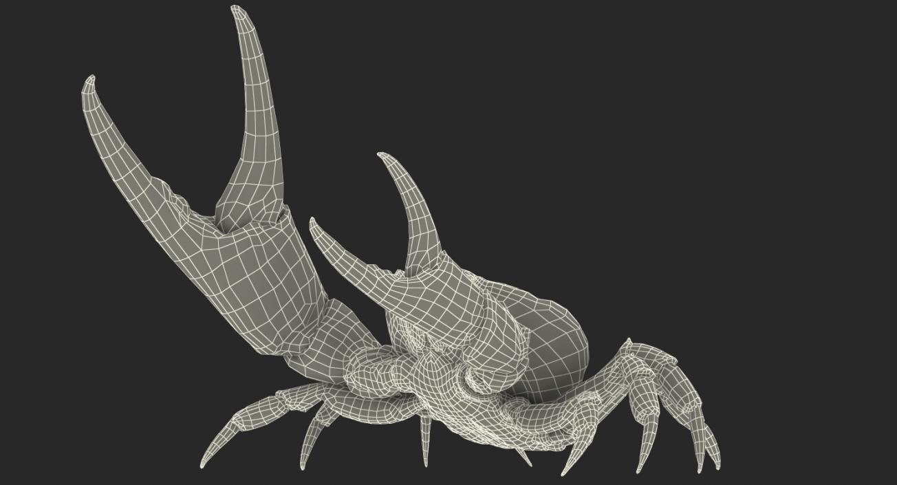 Tasmanian Giant Crab Fighting Pose 3D model