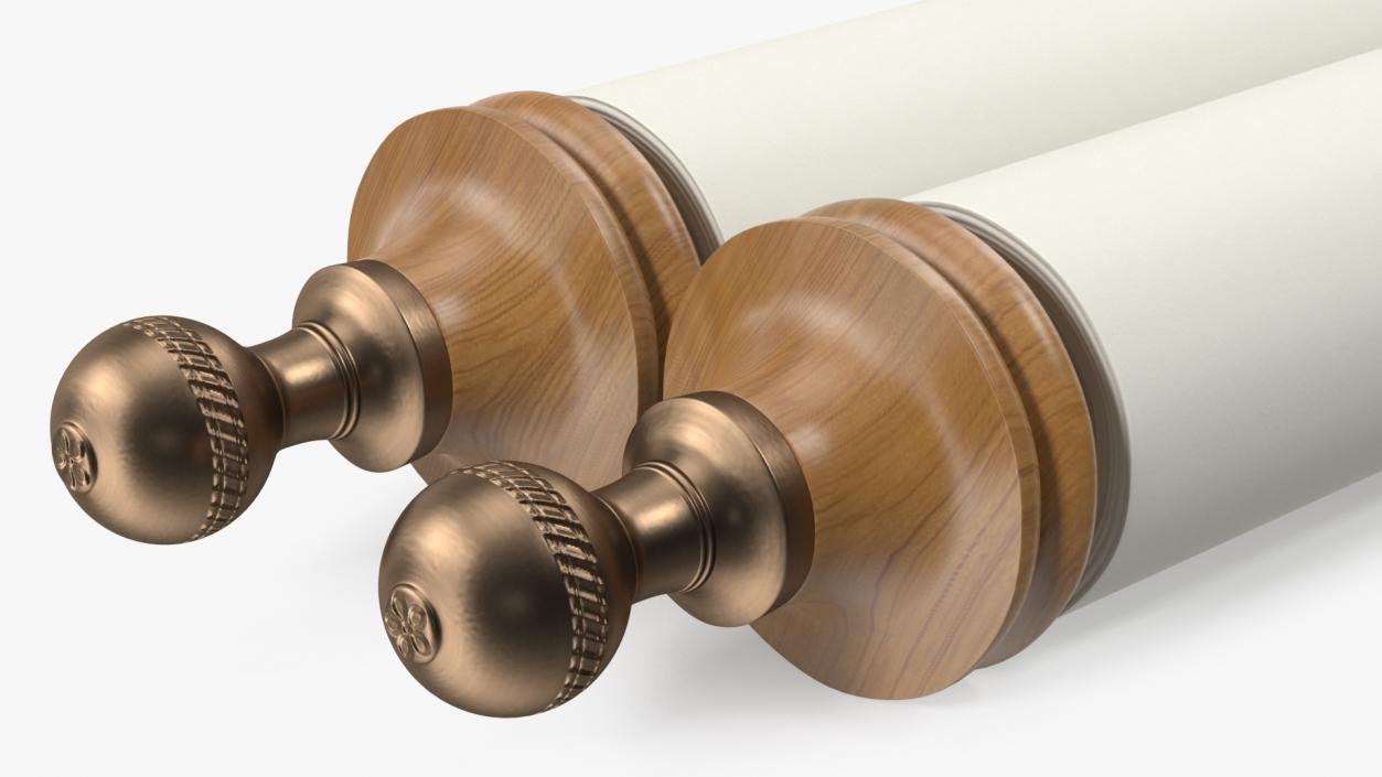 Rolled Up Paper Scroll 3D