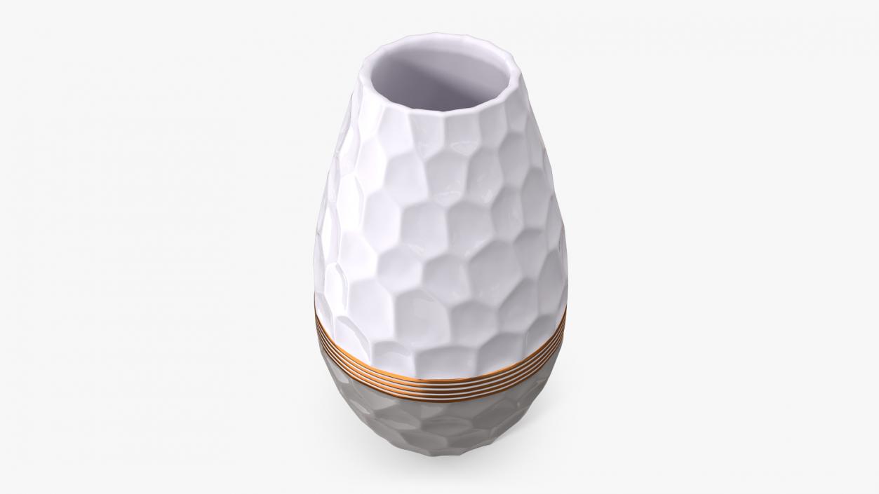 Hexagon Vase with Rose 3D