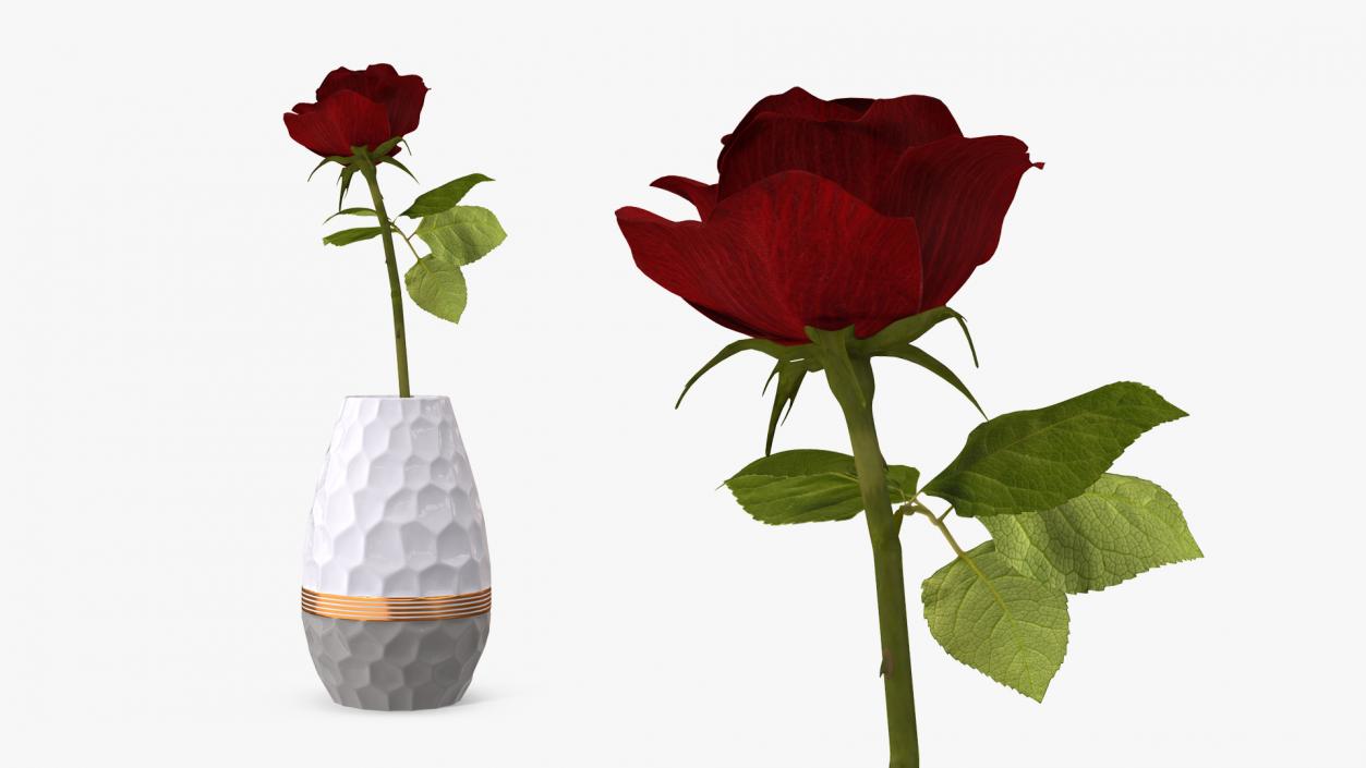 Hexagon Vase with Rose 3D