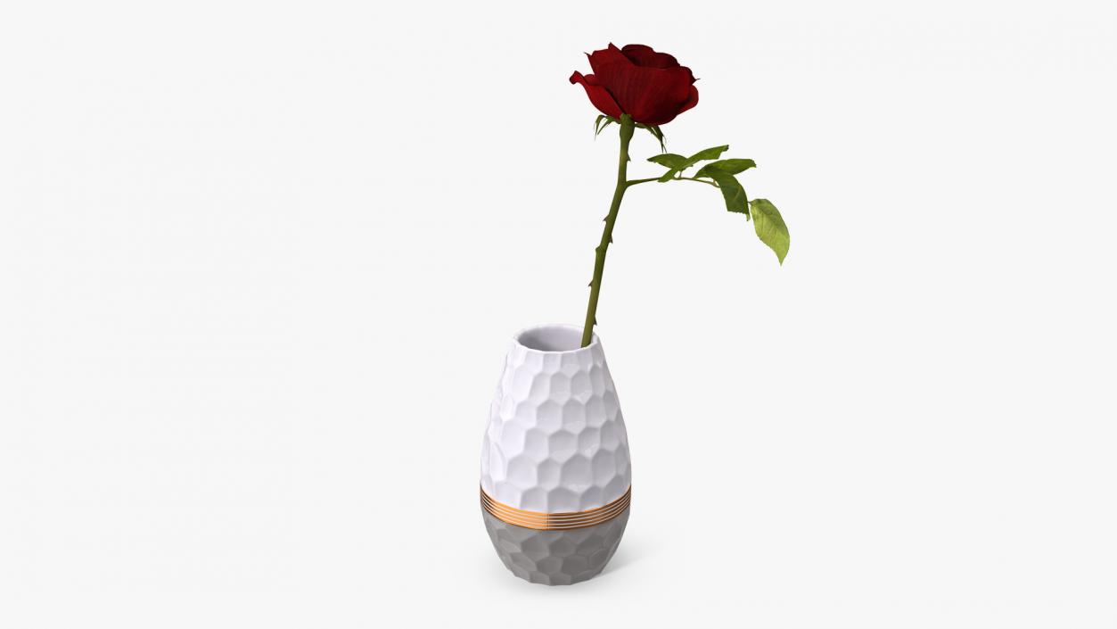 Hexagon Vase with Rose 3D