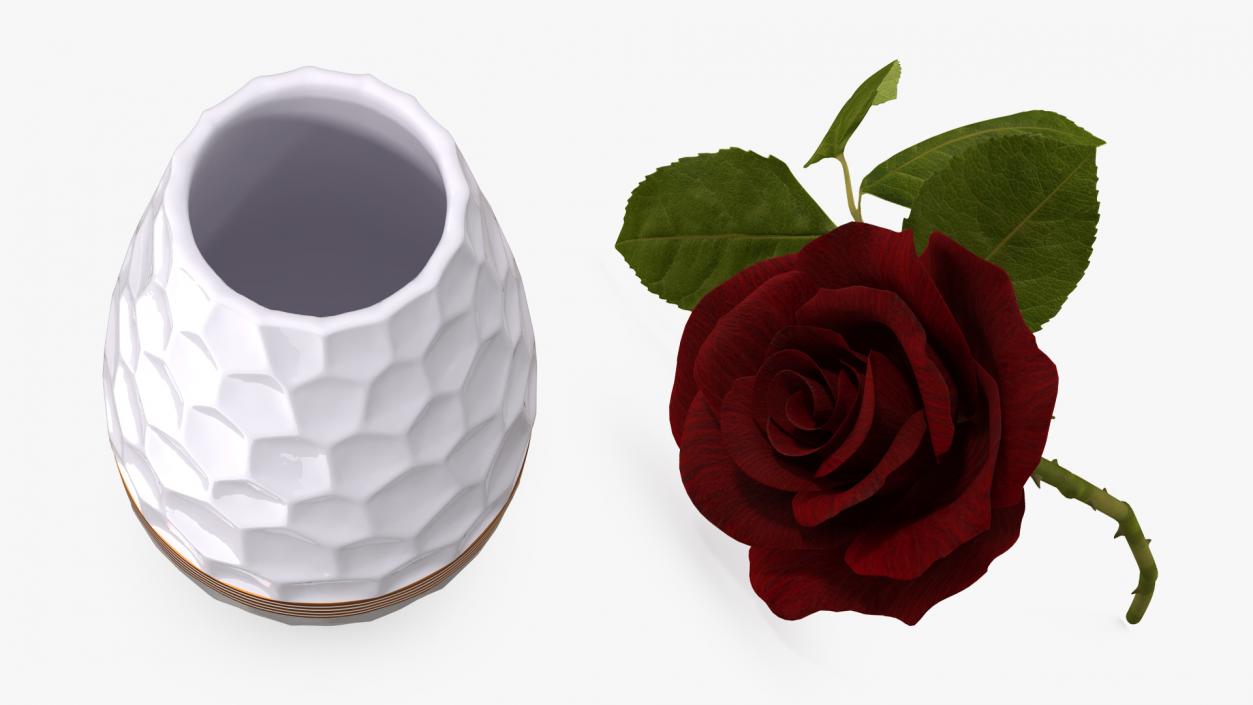 Hexagon Vase with Rose 3D