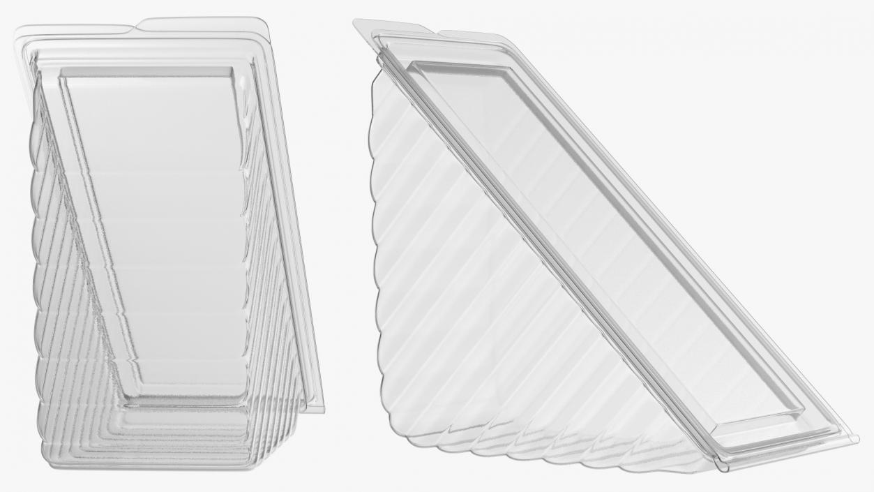 Recyclable Plastic Box for 2 Sandwiches 3D model