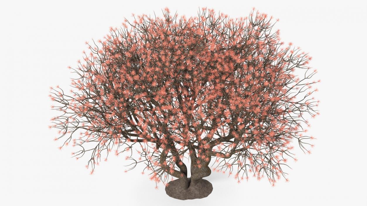 3D Rhododendron with Twigs model