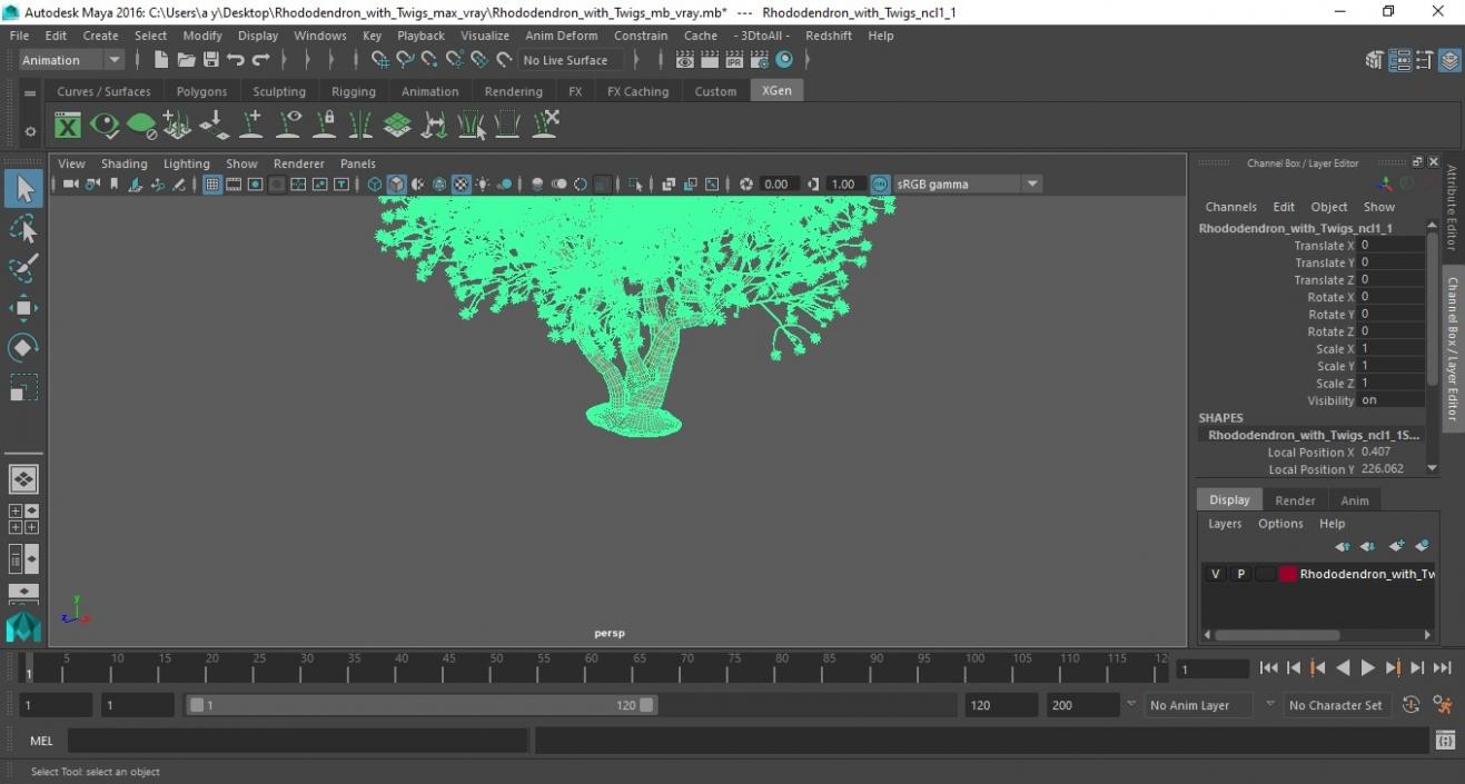 3D Rhododendron with Twigs model