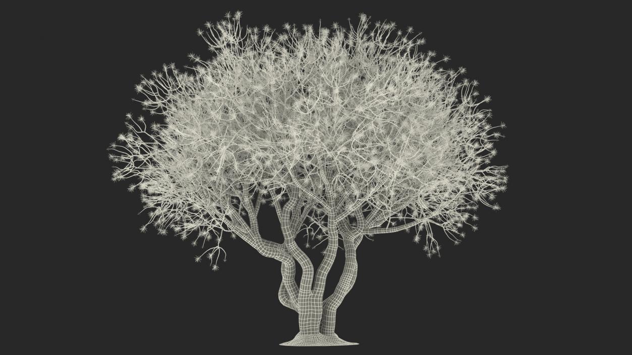 3D Rhododendron with Twigs model