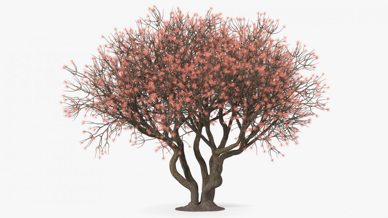 3D Rhododendron with Twigs model