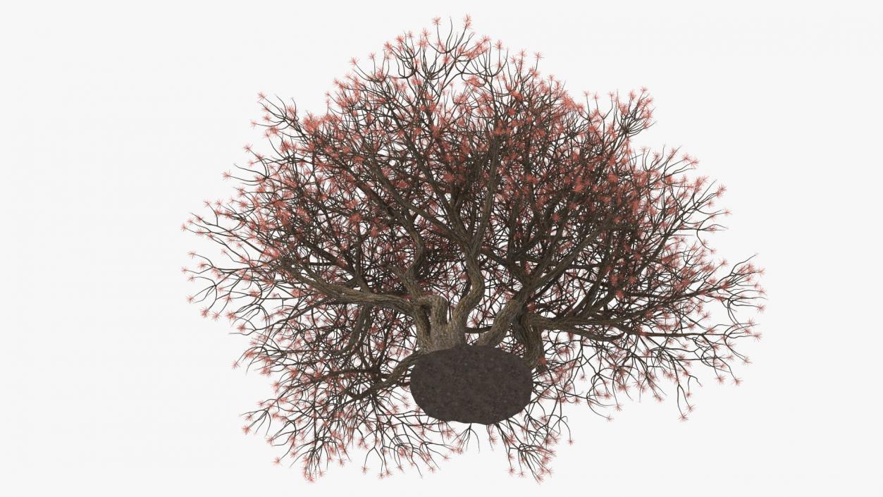 3D Rhododendron with Twigs model