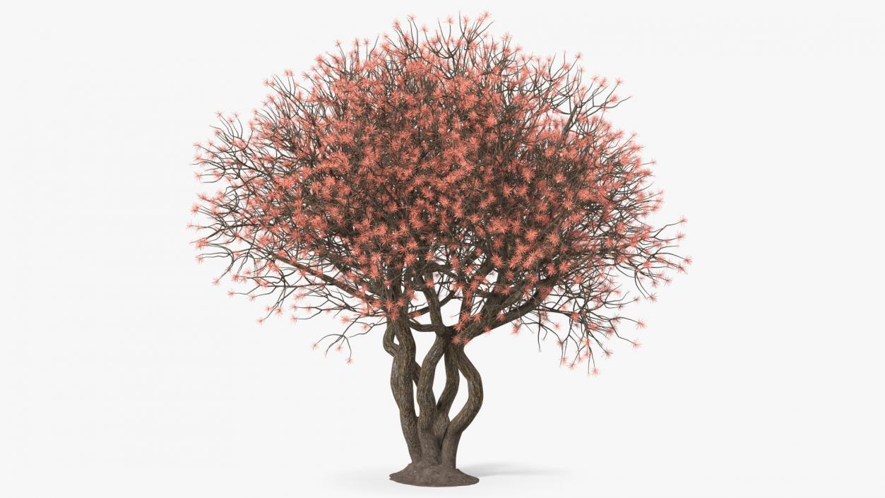 3D Rhododendron with Twigs model