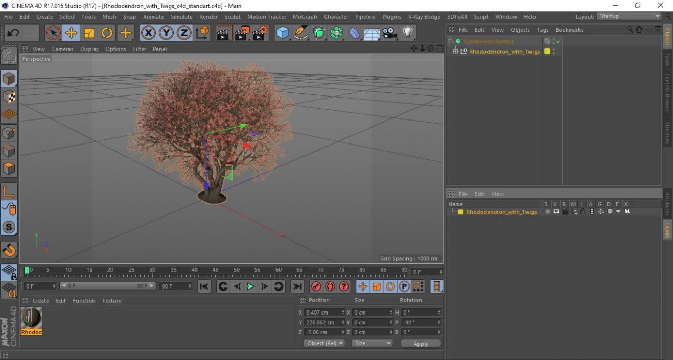 3D Rhododendron with Twigs model