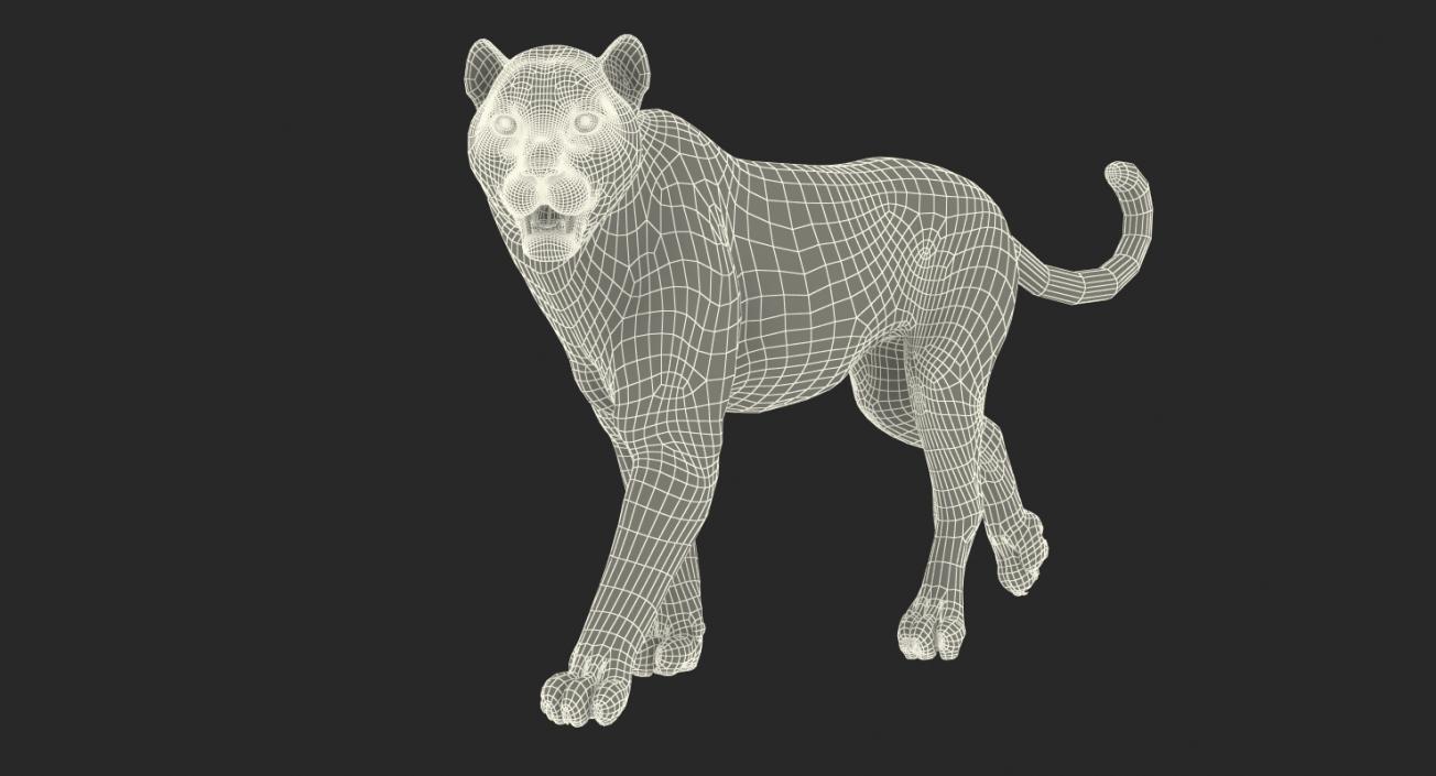 Leopard Walking Pose with Fur 3D model